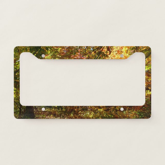 Canopy of Fall Leaves II Yellow Autumn Photography License Plate Frame (Front)