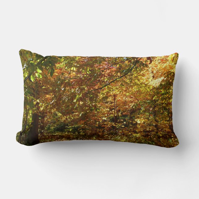 Canopy of Fall Leaves II Yellow Autumn Photography Lumbar Pillow (Front)
