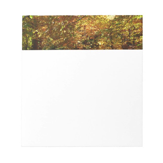 Canopy of Fall Leaves II Yellow Autumn Photography Notepad (Front)
