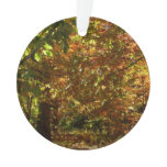 Canopy of Fall Leaves II Yellow Autumn Photography Ornament