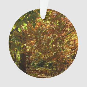 Canopy of Fall Leaves II Yellow Autumn Photography Ornament