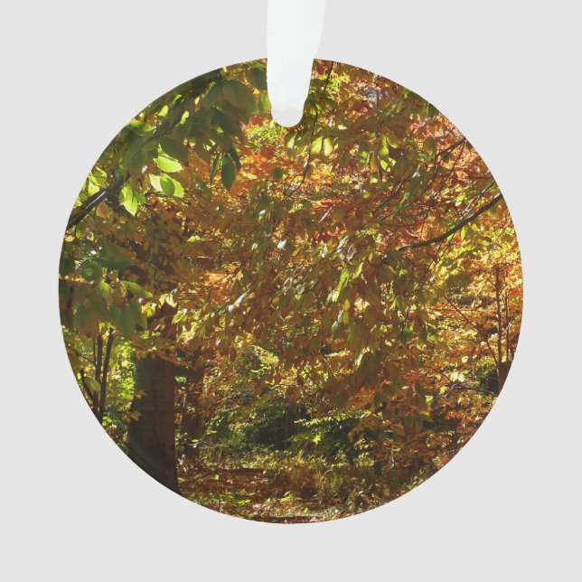 Canopy of Fall Leaves II Yellow Autumn Photography Ornament (Front)