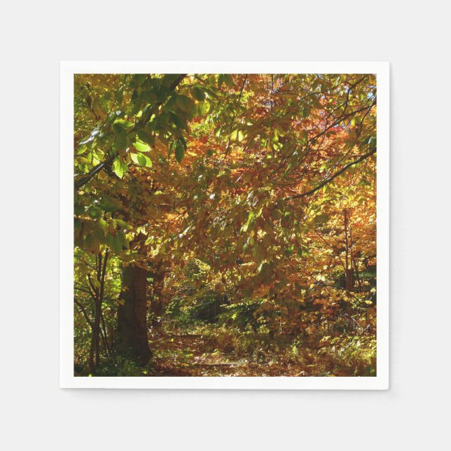 Canopy of Fall Leaves II Yellow Autumn Photography Paper Napkins (Front)