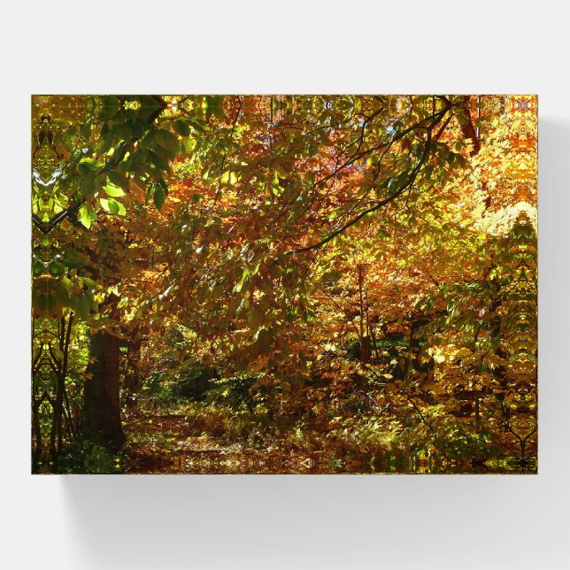 Canopy of Fall Leaves II Yellow Autumn Photography Paperweight (Front)