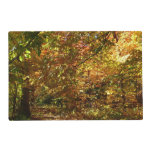 Canopy of Fall Leaves II Yellow Autumn Photography Placemat