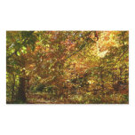 Canopy of Fall Leaves II Yellow Autumn Photography Rectangular Sticker