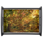 Canopy of Fall Leaves II Yellow Autumn Photography Serving Tray
