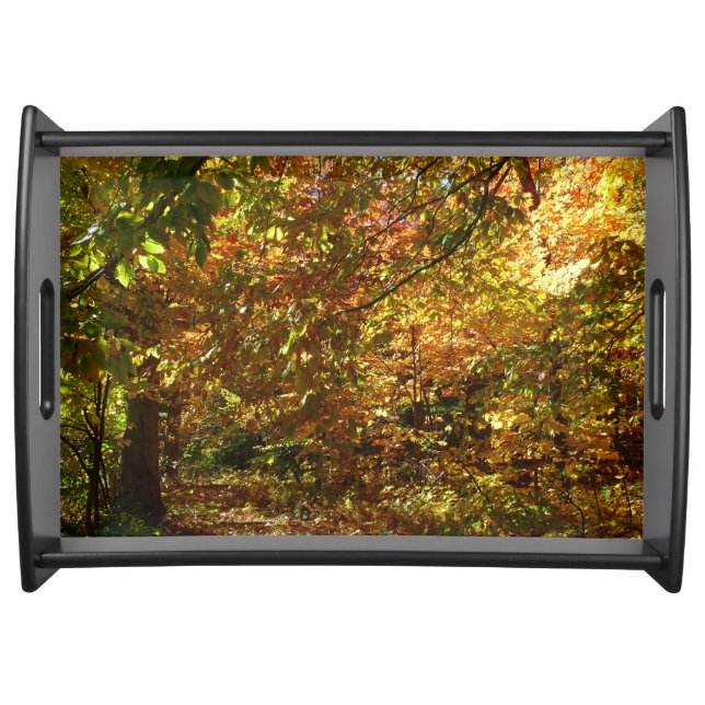 Canopy of Fall Leaves II Yellow Autumn Photography Serving Tray (Front)
