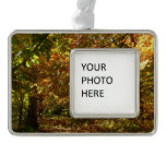 Canopy of Fall Leaves II Yellow Autumn Photography Silver Plated Framed Ornament
