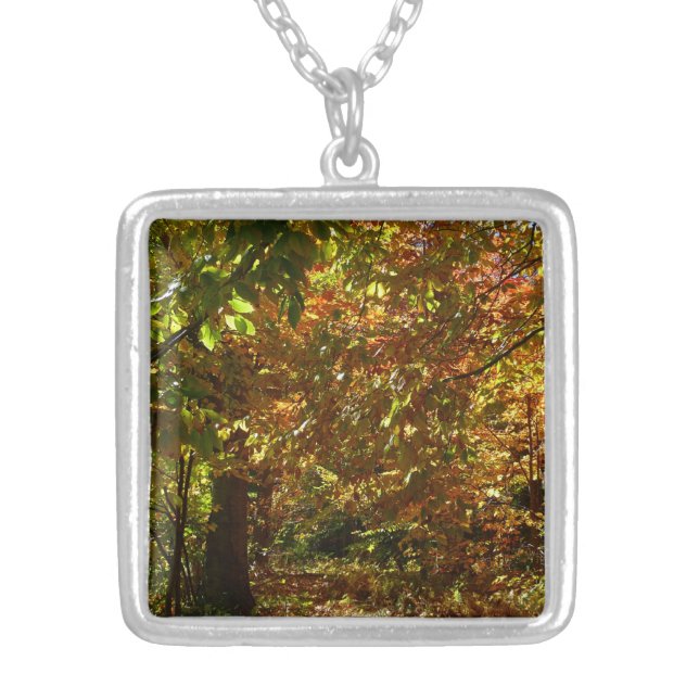 Canopy of Fall Leaves II Yellow Autumn Photography Silver Plated Necklace (Front)