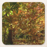 Canopy of Fall Leaves II Yellow Autumn Photography Square Paper Coaster