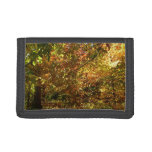 Canopy of Fall Leaves II Yellow Autumn Photography Trifold Wallet