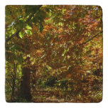 Canopy of Fall Leaves II Yellow Autumn Photography Trivet