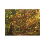 Canopy of Fall Leaves II Yellow Autumn Photography Wood Poster