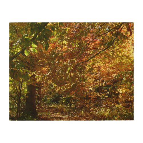 Canopy of Fall Leaves II Yellow Autumn Photography Wood Wall Art