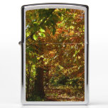 Canopy of Fall Leaves II Yellow Autumn Photography Zippo Lighter