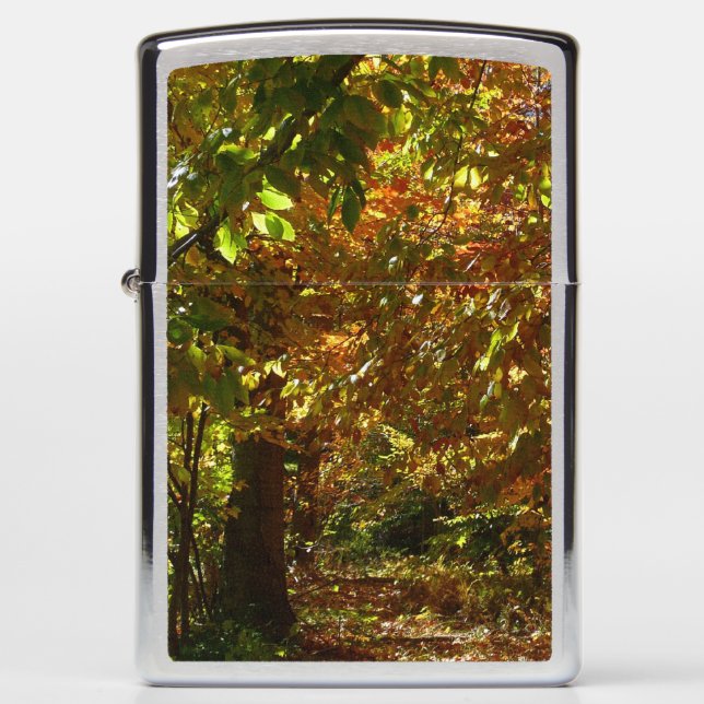 Canopy of Fall Leaves II Yellow Autumn Photography Zippo Lighter (Front)