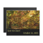 Canopy of Fall Leaves Save the Date Magnetic Invitation