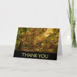 Canopy of Fall Leaves Thank You Card (Blank Inside