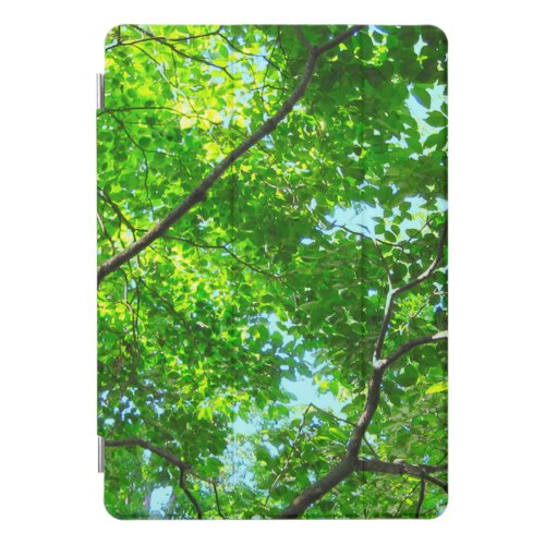 Canopy of Green Leafy Branches with Blue Sky    iPad Pro Cover