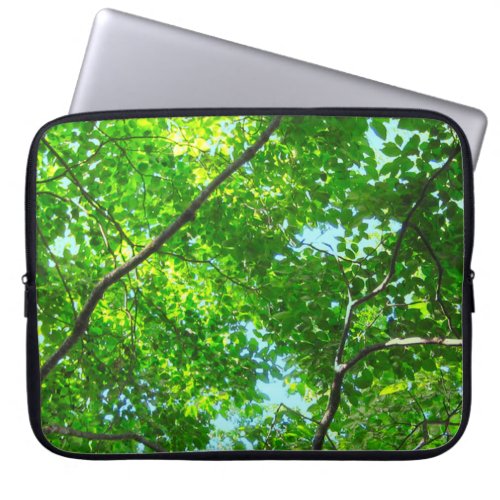 Canopy of Green Leafy Branches with Blue Sky    Laptop Sleeve