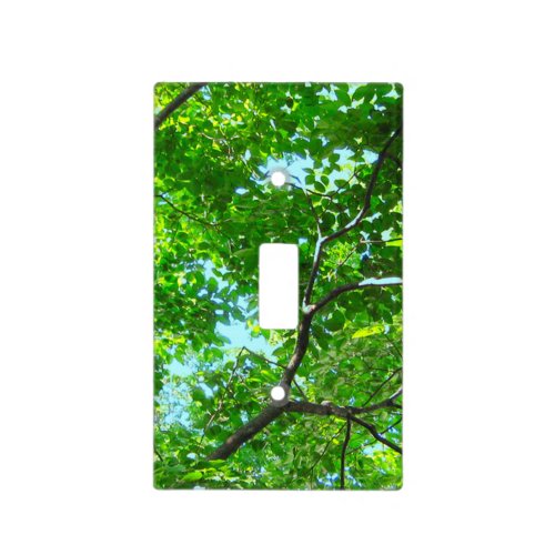 Canopy of Green Leafy Branches with Blue Sky Light Switch Cover