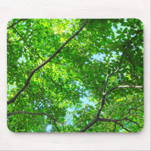 Canopy of Green, Leafy Branches with Blue Sky    Mouse Pad