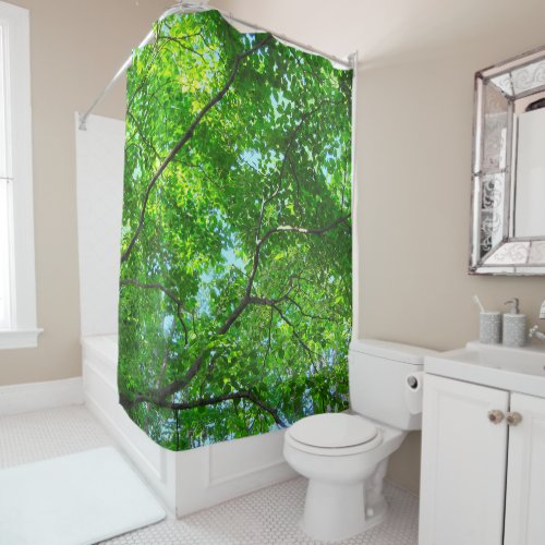 Canopy of Green Leafy Branches with Blue Sky    Shower Curtain
