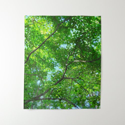 Canopy of Green Leafy Branches with Blue Sky Tapestry