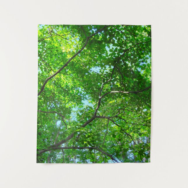 Canopy of Green, Leafy Branches with Blue Sky Tapestry (Front)