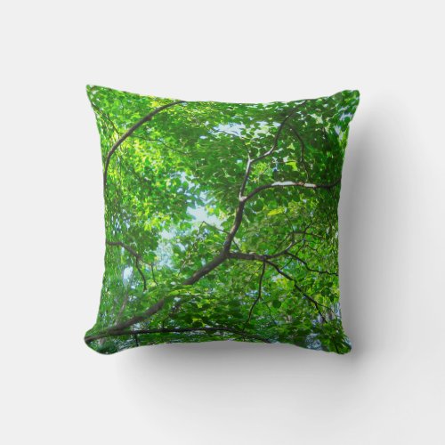 Canopy of Green Leafy Branches with Blue Sky Throw Pillow