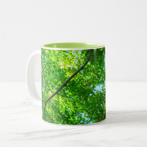 Canopy of Green Leafy Branches with Blue Sky    Two_Tone Coffee Mug
