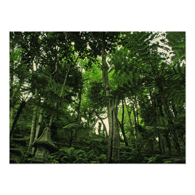 Canopy of Lushness @ Madeira Portugal Photo (Front)