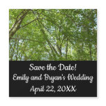 Canopy of Spring Leaves Green Nature Save the Date