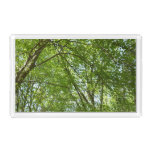 Canopy of Spring Leaves Green Nature Scene Acrylic Tray
