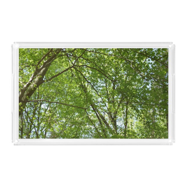 Canopy of Spring Leaves Green Nature Scene Acrylic Tray (Front)