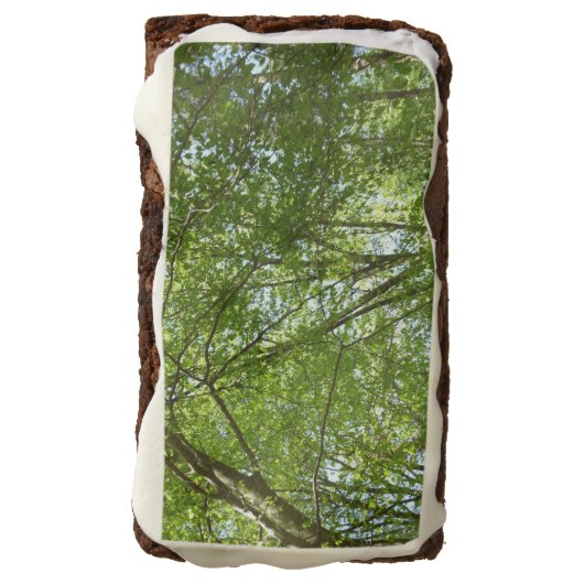 Canopy of Spring Leaves Green Nature Scene Brownie (Rotated)