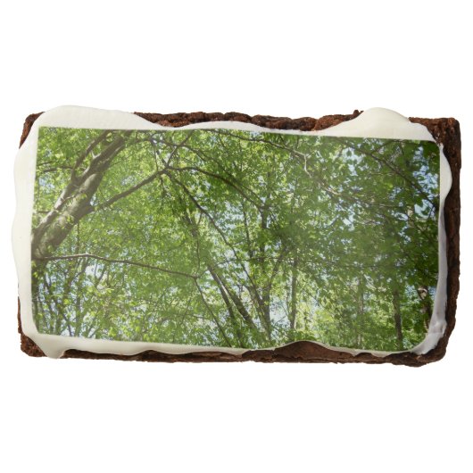 Canopy of Spring Leaves Green Nature Scene Brownie (Front)