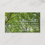 Canopy of Spring Leaves Green Nature Scene Business Card