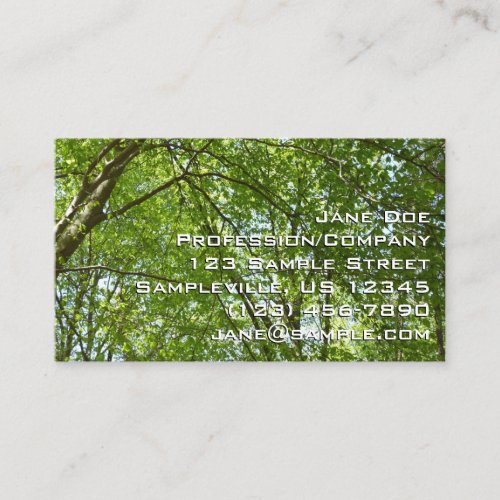 Canopy of Spring Leaves Green Nature Scene Business Card