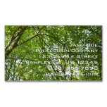 Canopy of Spring Leaves Green Nature Scene Business Card Magnet