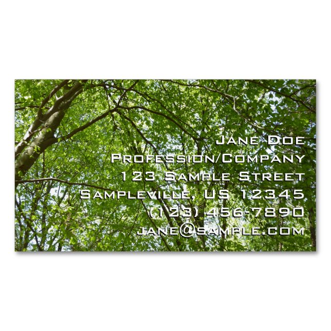 Canopy of Spring Leaves Green Nature Scene Business Card Magnet (Front)