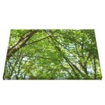 Canopy of Spring Leaves Green Nature Scene Canvas Print