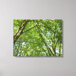 Canopy of Spring Leaves Green Nature Scene Canvas Print