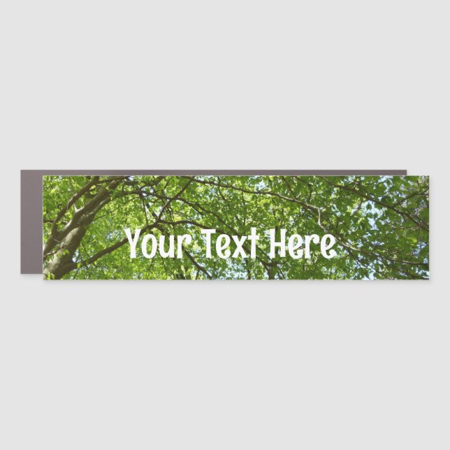 Canopy of Spring Leaves Green Nature Scene Car Magnet (Front)