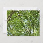 Canopy of Spring Leaves Green Nature Scene Card