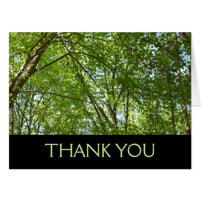 Canopy of Spring Leaves Green Nature Scene Card (Front Horizontal)