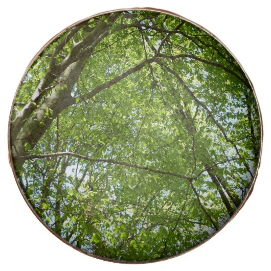 Canopy of Spring Leaves Green Nature Scene Chocolate Covered Oreo (Front)