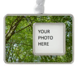 Canopy of Spring Leaves Green Nature Scene Christmas Ornament
