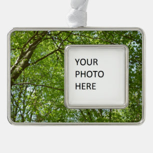 Canopy of Spring Leaves Green Nature Scene Christmas Ornament